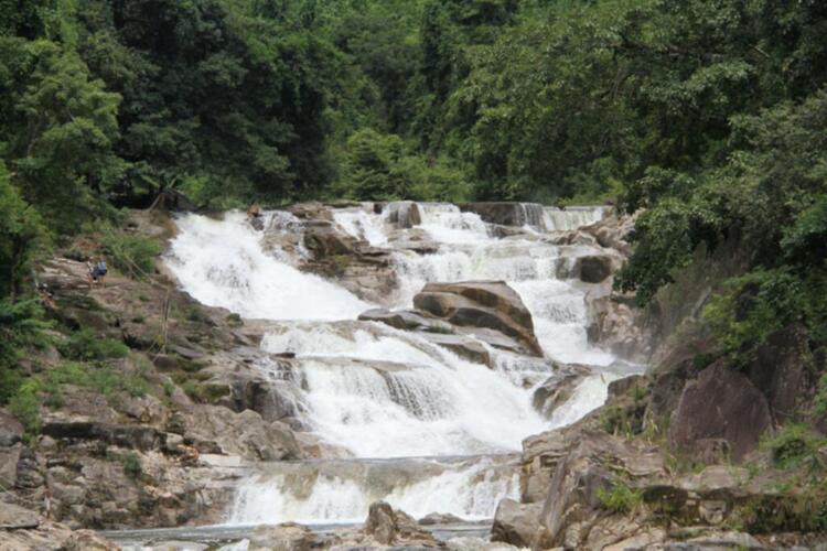 Tường thuật trực tiếp Chương trình vui hè cho các thành viên nhí FFC du lịch hè Nha Trang Tường thuật trực tiếp Chương trình vui hè cho các thành viên nhí FFC du lịch hè Nha Trang