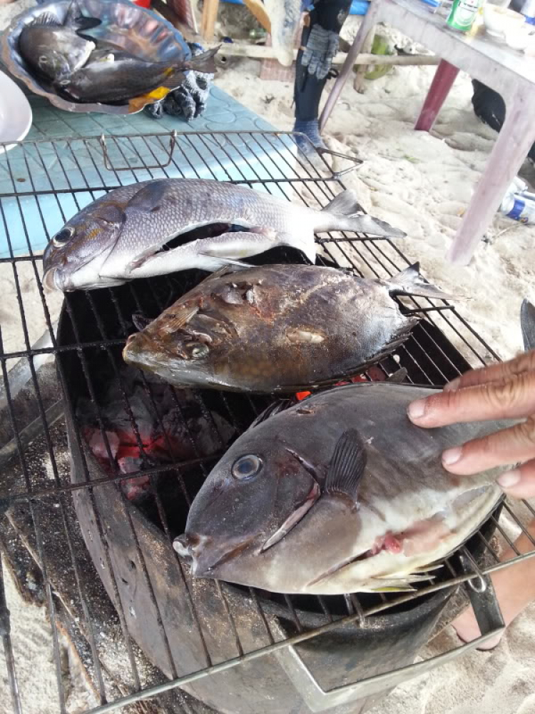 S.O.S - Hành trình Nha Trang biển đảo 7/2013