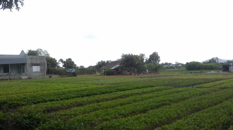 [Trạm thu phí QL51] em phải làm sao đây?