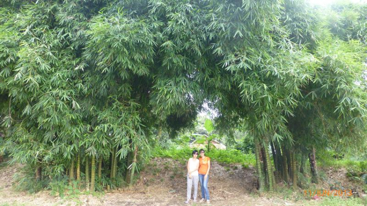 Xuyên Việt 30 Ngày - Hè 2013!