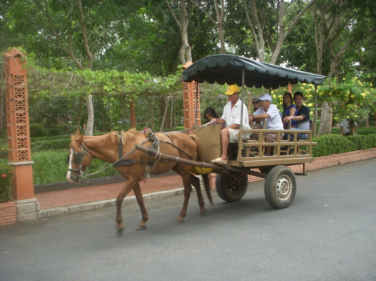 Long Hải – Bình Châu – Hồ Cốc: Thư giãn cho ngày nghỉ cuối tuần.