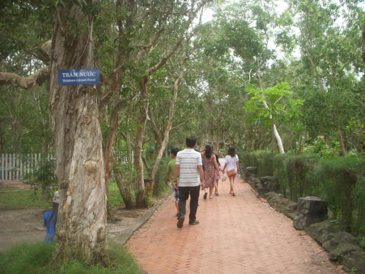 Long Hải – Bình Châu – Hồ Cốc: Thư giãn cho ngày nghỉ cuối tuần. Long Hải – Bình Châu – Hồ Cốc: Thư giãn cho ngày nghỉ cuối tuần.