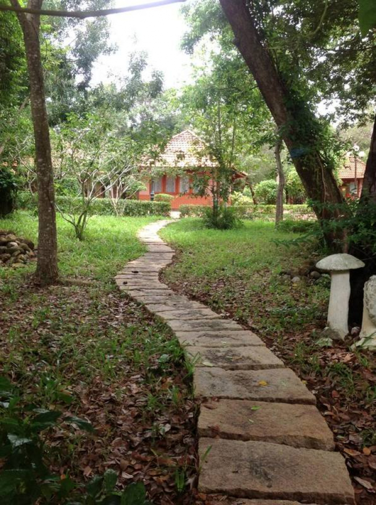 Long Hải – Bình Châu – Hồ Cốc: Thư giãn cho ngày nghỉ cuối tuần. Long Hải – Bình Châu – Hồ Cốc: Thư giãn cho ngày nghỉ cuối tuần.