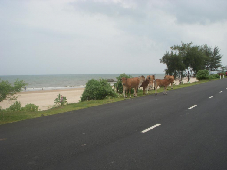 Long Hải – Bình Châu – Hồ Cốc: Thư giãn cho ngày nghỉ cuối tuần.