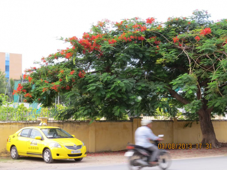 SG - Nha Trang bằng tàu hỏa - Tại sao không???