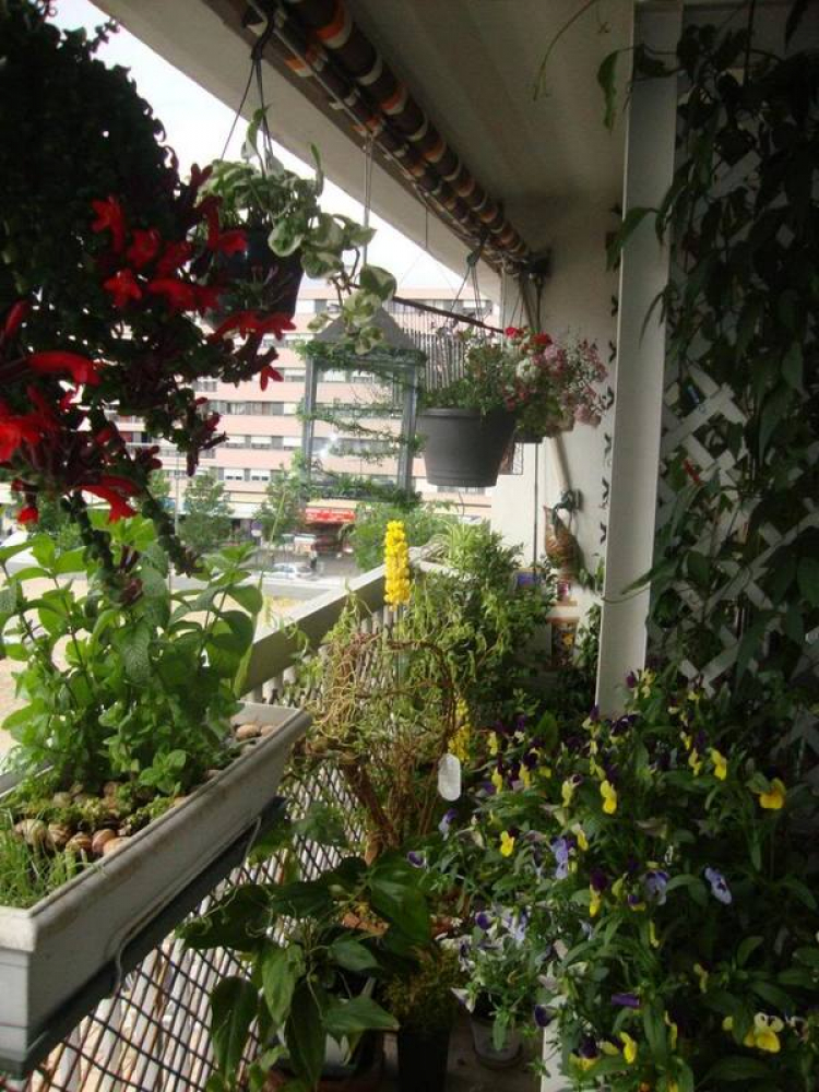 Với 4 tỷ, có nên mua căn hộ The Vista view sông? Với 4 tỷ, có nên mua căn hộ The Vista view sông?
