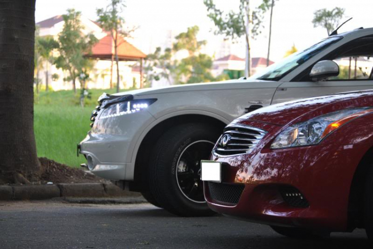 Infiniti FX - Vừa Đẹp Vừa Hiếm