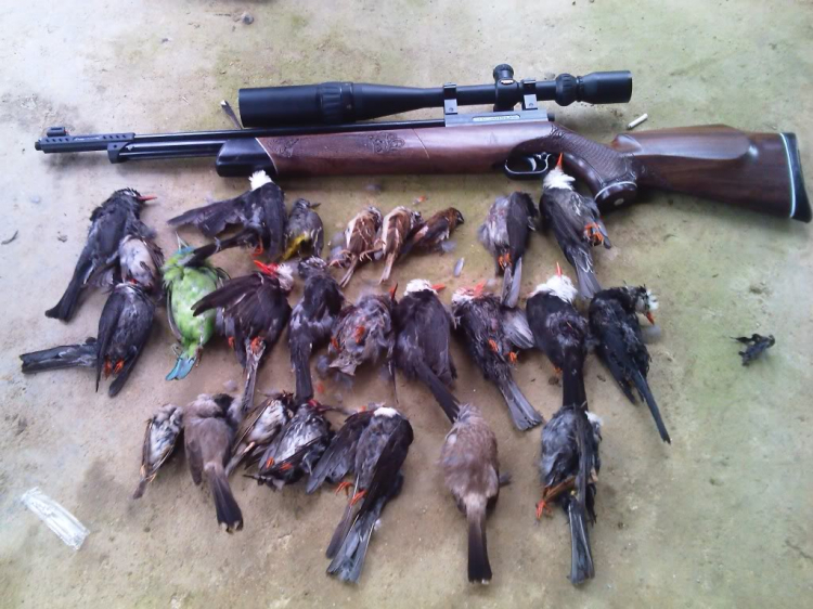 Airgun, niềm đam mê của phái mạnh!