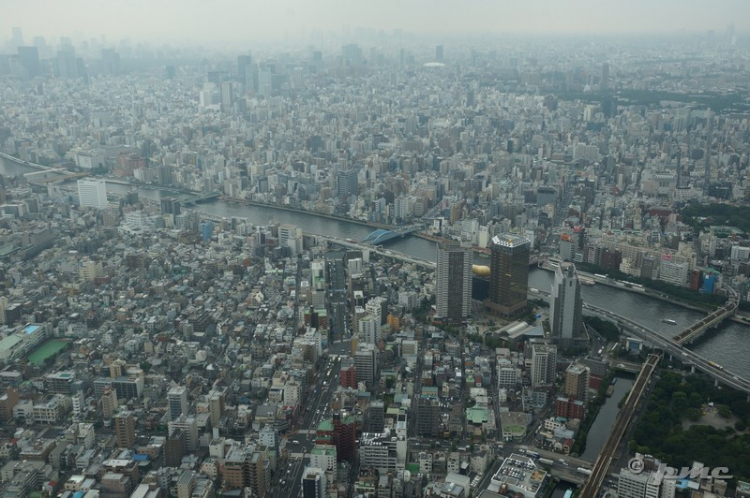 Tokyo: Đông Kinh xứng đáng!