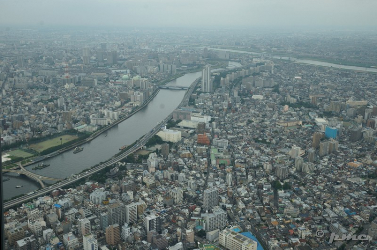 Tokyo: Đông Kinh xứng đáng!