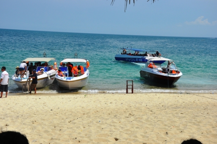 Matiz: chân ngắn trên đường dài! Festival Đà Lạt 2013.(p204)