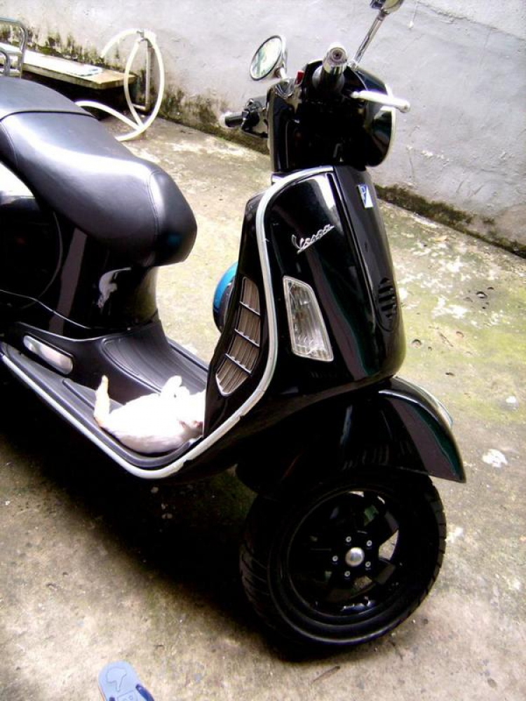 Đã bán SHi xong! Còn lại con Vespa Gts giá 42tr hàng italy mới 99%sơn zin chưa 1 vết trấy