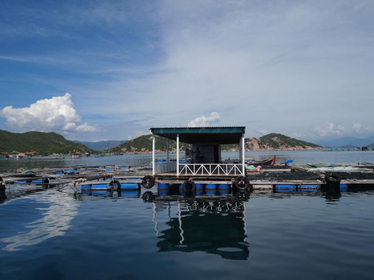 Đảo Bình Ba_ Chia sẻ trải nghiệm..! Đảo Bình Ba_ Chia sẻ trải nghiệm..!
