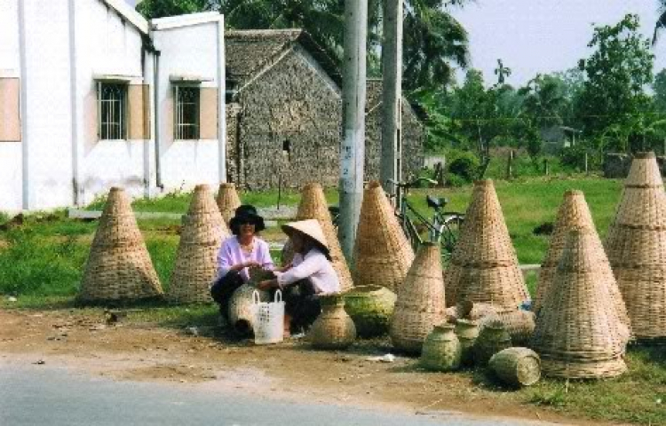 Miệt vườn