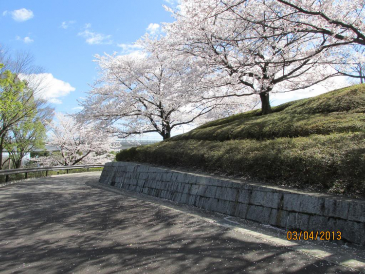 Tokyo: Đông Kinh xứng đáng!