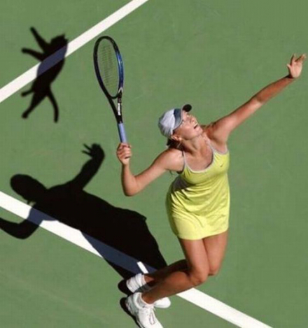 Tennis-Cat.jpg