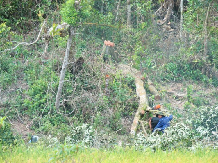 Chuyến du lịch hè 2014 biển và núi của nhà em.