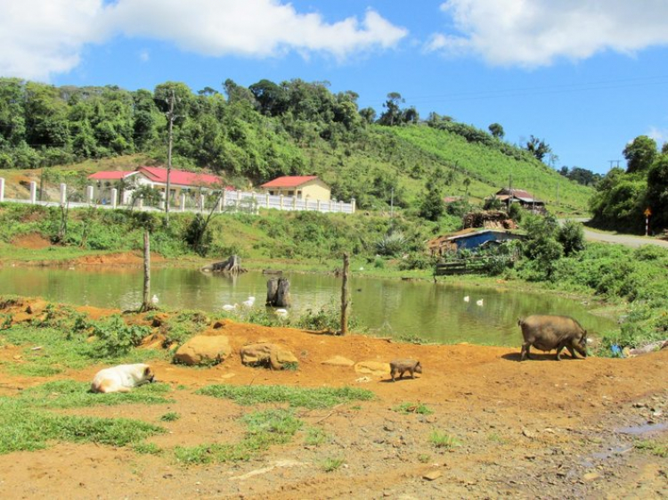 Chuyến du lịch hè 2014 biển và núi của nhà em.