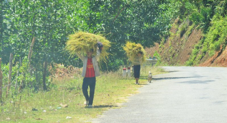 Chuyến du lịch hè 2014 biển và núi của nhà em.