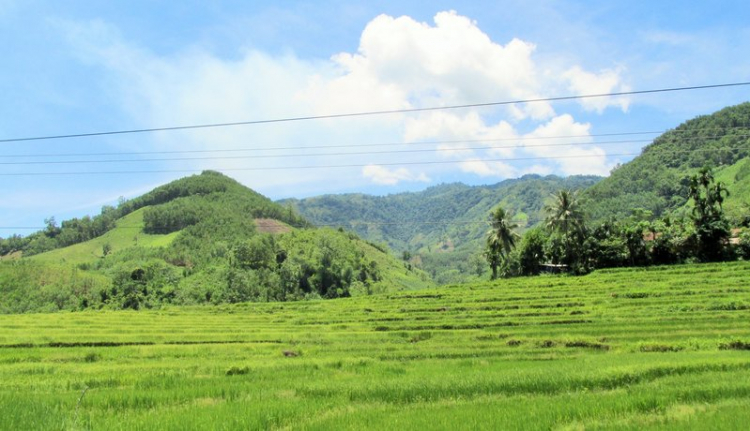 Chuyến du lịch hè 2014 biển và núi của nhà em.