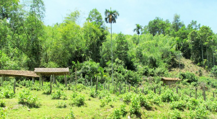 Chuyến du lịch hè 2014 biển và núi của nhà em. Chuyến du lịch hè 2014 biển và núi của nhà em.