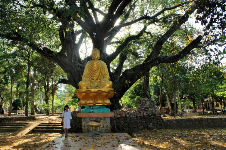 Chuyến du lịch hè 2014 biển và núi của nhà em.