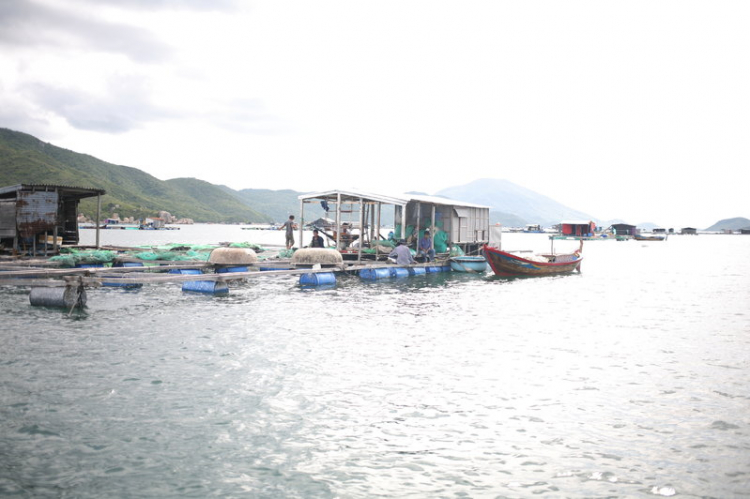 Hình ảnh GMFC offline Nha Trang 30/8 ~ 2/9/2014