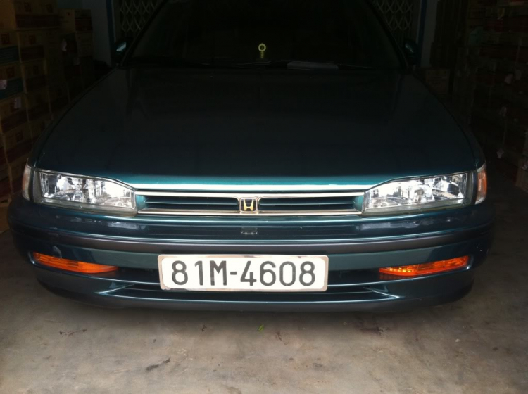 Accord club : Cọp già ký sự Accord club : Cọp già ký sự