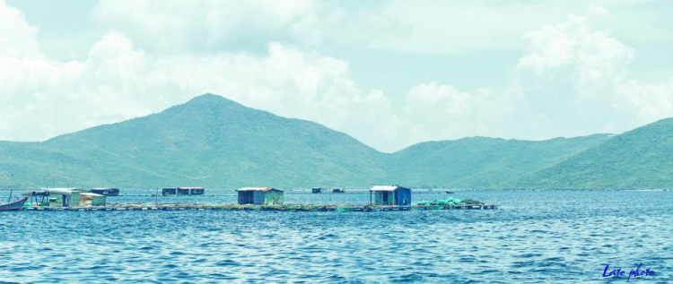 Câu lạc bộ Nhiếp Ảnh MAFC. Câu lạc bộ Nhiếp Ảnh MAFC.