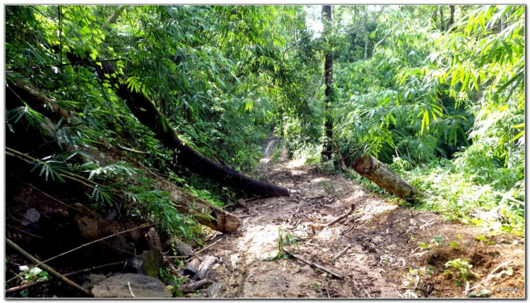 Ký sự nam bắc cùng offroad Phan Thiết - Di Linh Ký sự nam bắc cùng offroad Phan Thiết - Di Linh