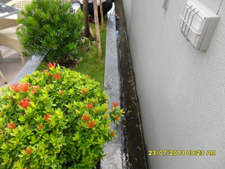 Nhờ các bác hướng dẫn thoát nước bồn hoa. Nhờ các bác hướng dẫn thoát nước bồn hoa.