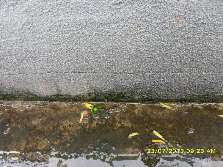Nhờ các bác hướng dẫn thoát nước bồn hoa. Nhờ các bác hướng dẫn thoát nước bồn hoa.
