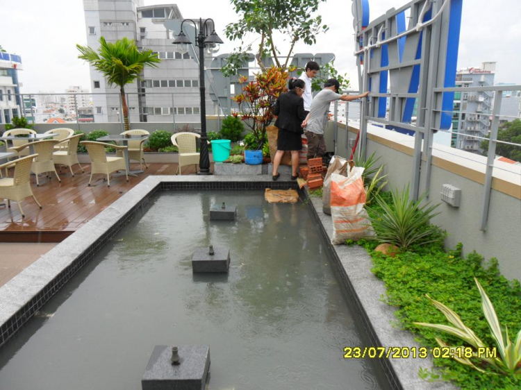 Nhờ các bác hướng dẫn thoát nước bồn hoa. Nhờ các bác hướng dẫn thoát nước bồn hoa.