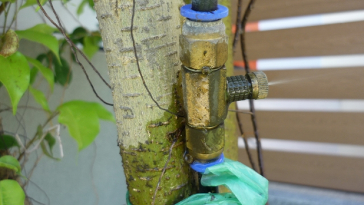 Nhờ các bác hướng dẫn thoát nước bồn hoa. Nhờ các bác hướng dẫn thoát nước bồn hoa.