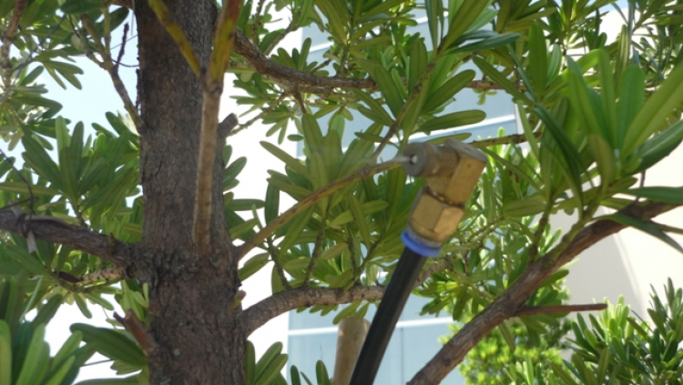 Nhờ các bác hướng dẫn thoát nước bồn hoa. Nhờ các bác hướng dẫn thoát nước bồn hoa.