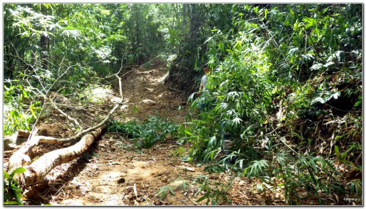 Ký sự nam bắc cùng offroad Phan Thiết - Di Linh Ký sự nam bắc cùng offroad Phan Thiết - Di Linh