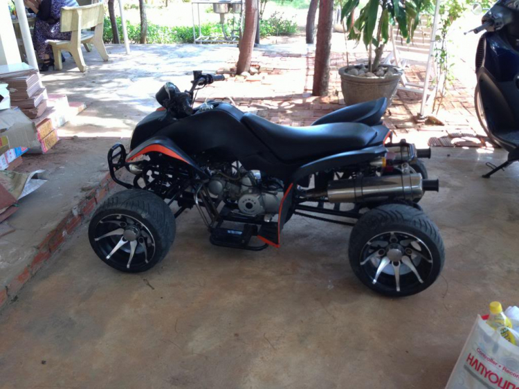 Chiến Mã Bất Kham Hoàn Toàn Lột Sác Chiến Mã Bất Kham Hoàn Toàn Lột Sác