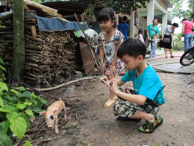 Mời các bác ộp-nai Bò tơ Củ Chi_22/9/2013.