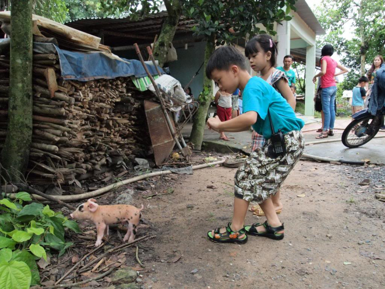 Mời các bác ộp-nai Bò tơ Củ Chi_22/9/2013.