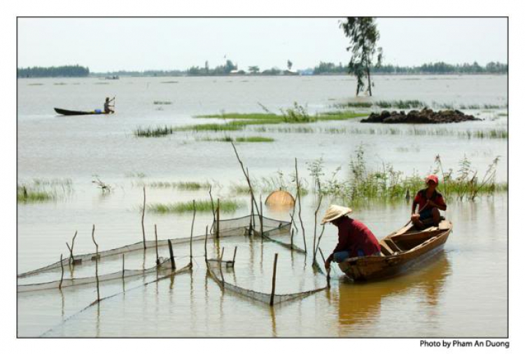 An Giang - Mùa Nước Nổi - cuộc sống mưu sinh.