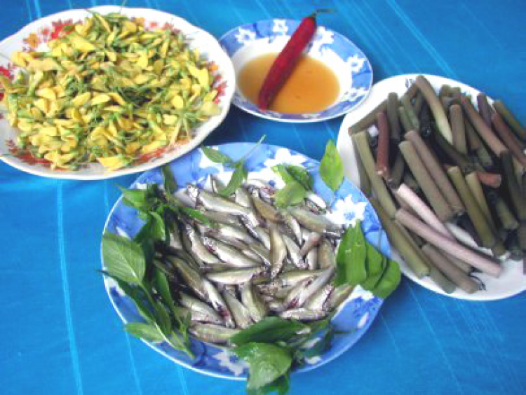 An Giang - Mùa Nước Nổi - cuộc sống mưu sinh.