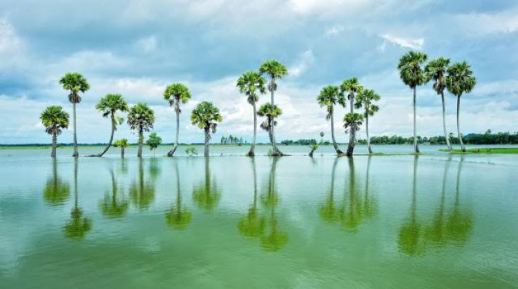 An Giang - Mùa Nước Nổi - cuộc sống mưu sinh.