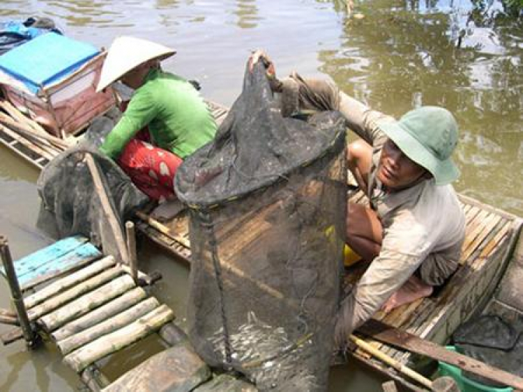 An Giang - Mùa Nước Nổi - cuộc sống mưu sinh.