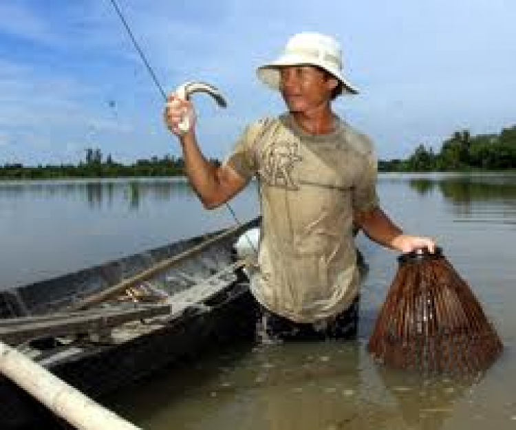 An Giang - Mùa Nước Nổi - cuộc sống mưu sinh.