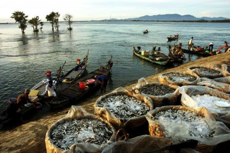 An Giang - Mùa Nước Nổi - cuộc sống mưu sinh.