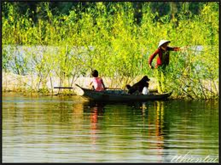 An Giang - Mùa Nước Nổi - cuộc sống mưu sinh.