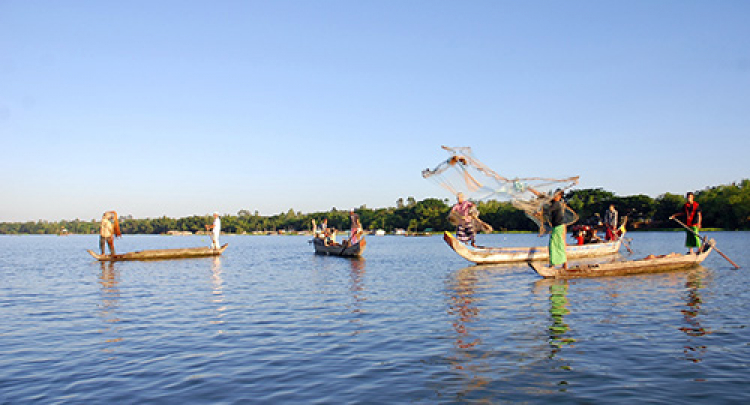 An Giang - Mùa Nước Nổi - cuộc sống mưu sinh.