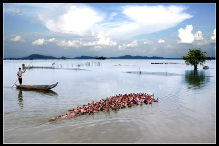 An Giang - Mùa Nước Nổi - cuộc sống mưu sinh.