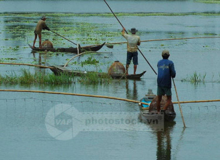 An Giang - Mùa Nước Nổi - cuộc sống mưu sinh.