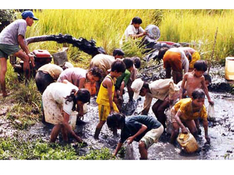 Miệt vườn Miệt vườn
